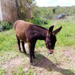 Bezares 15 IMG 20160510 WA0002