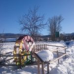 Bezares 14 IMG 20180108 WA0010