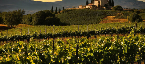 cata de vino en una bodega de La Rioja 1