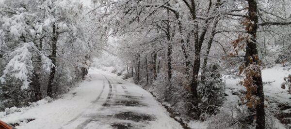 nieve