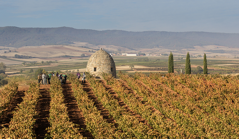 La Rioja y Estado abordarán la Ley de Medidas Temporales y Urgentes para la Protección del Paisaje riojano 1 489813 1